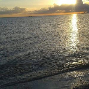 Meet your Posher, Cubanita